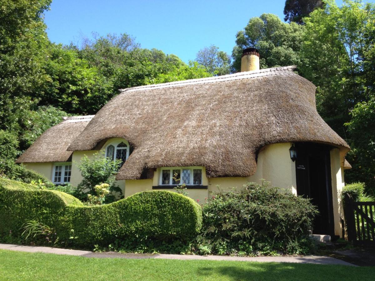 Watchet Cottage Holiday home